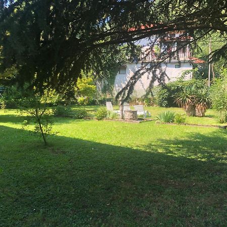 Vila Labod, Unique Villa At The Lake Most Na Soci Exterior photo